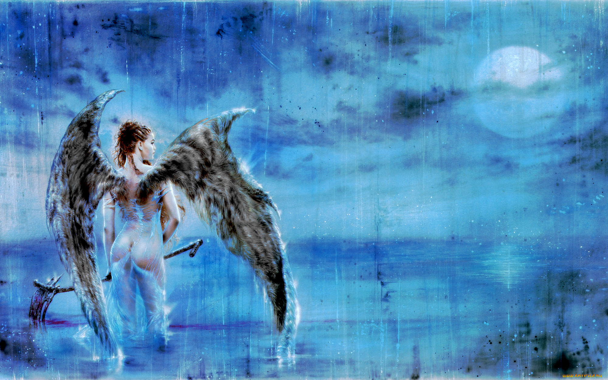 luis, royo, , , 